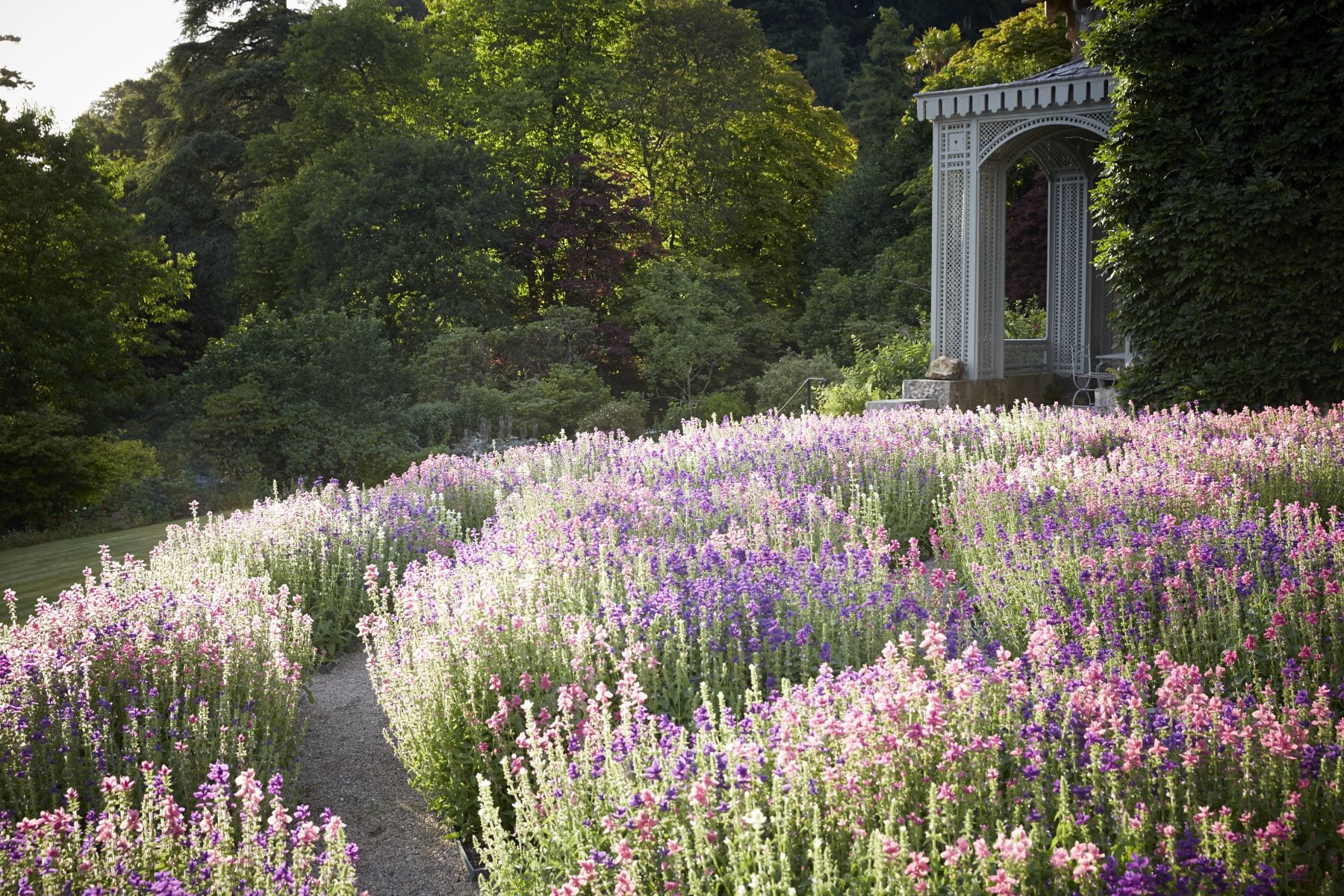 Endsleigh Hotel Garden in Blossom