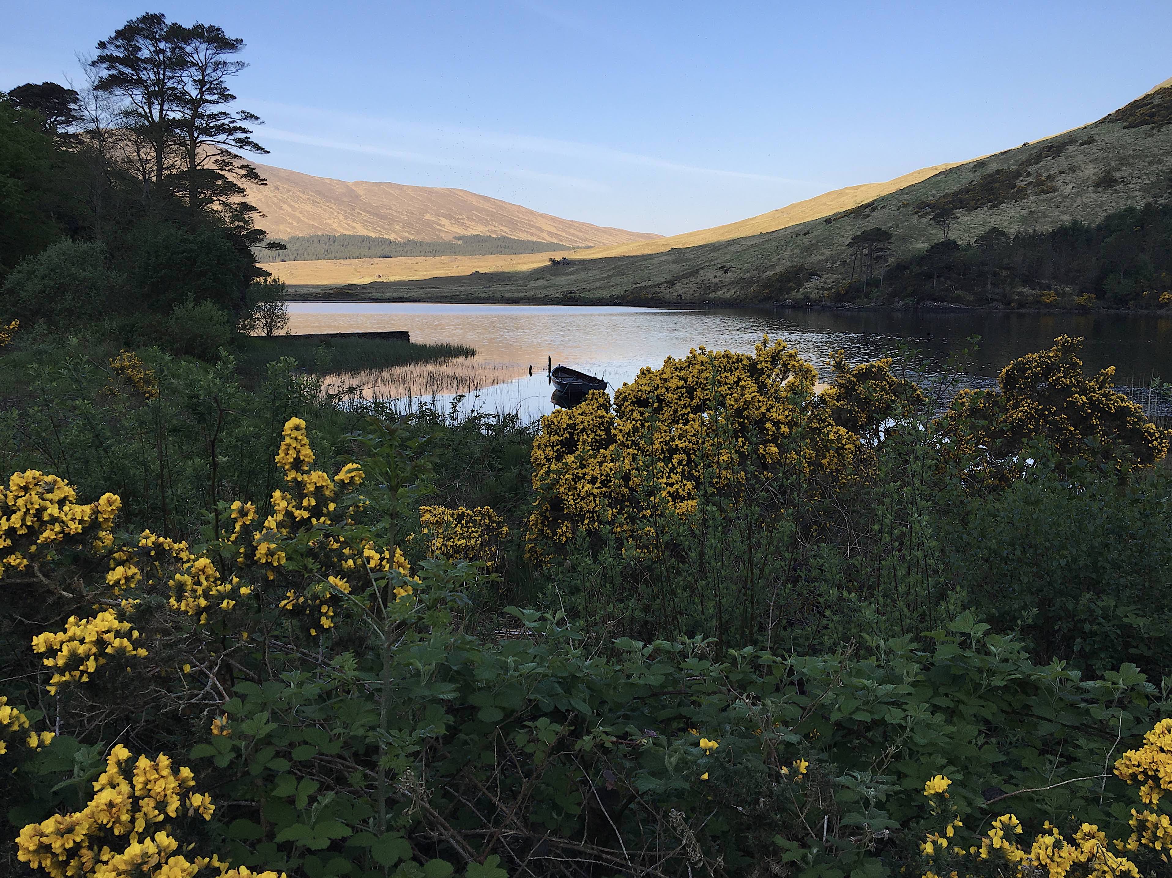 TWL_Delphi_Lake_View