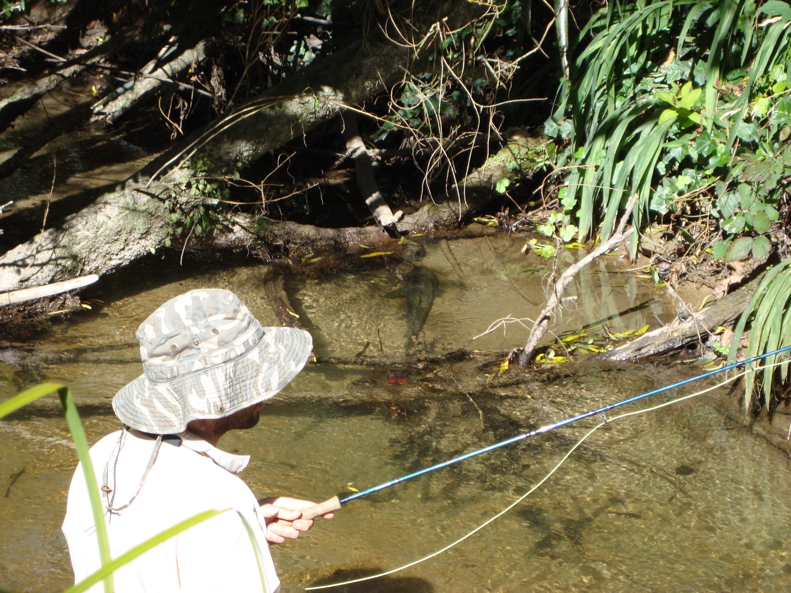 Giant Browns Fishing NZ