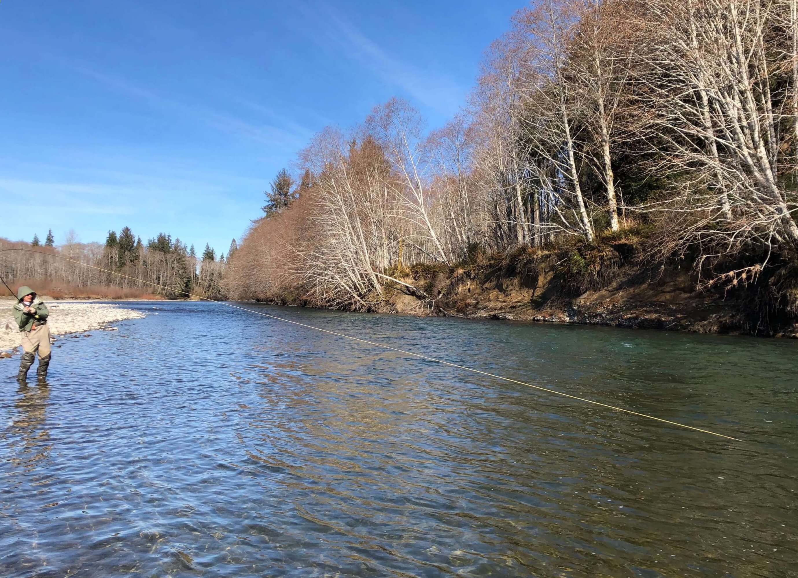 Washington Steelhead