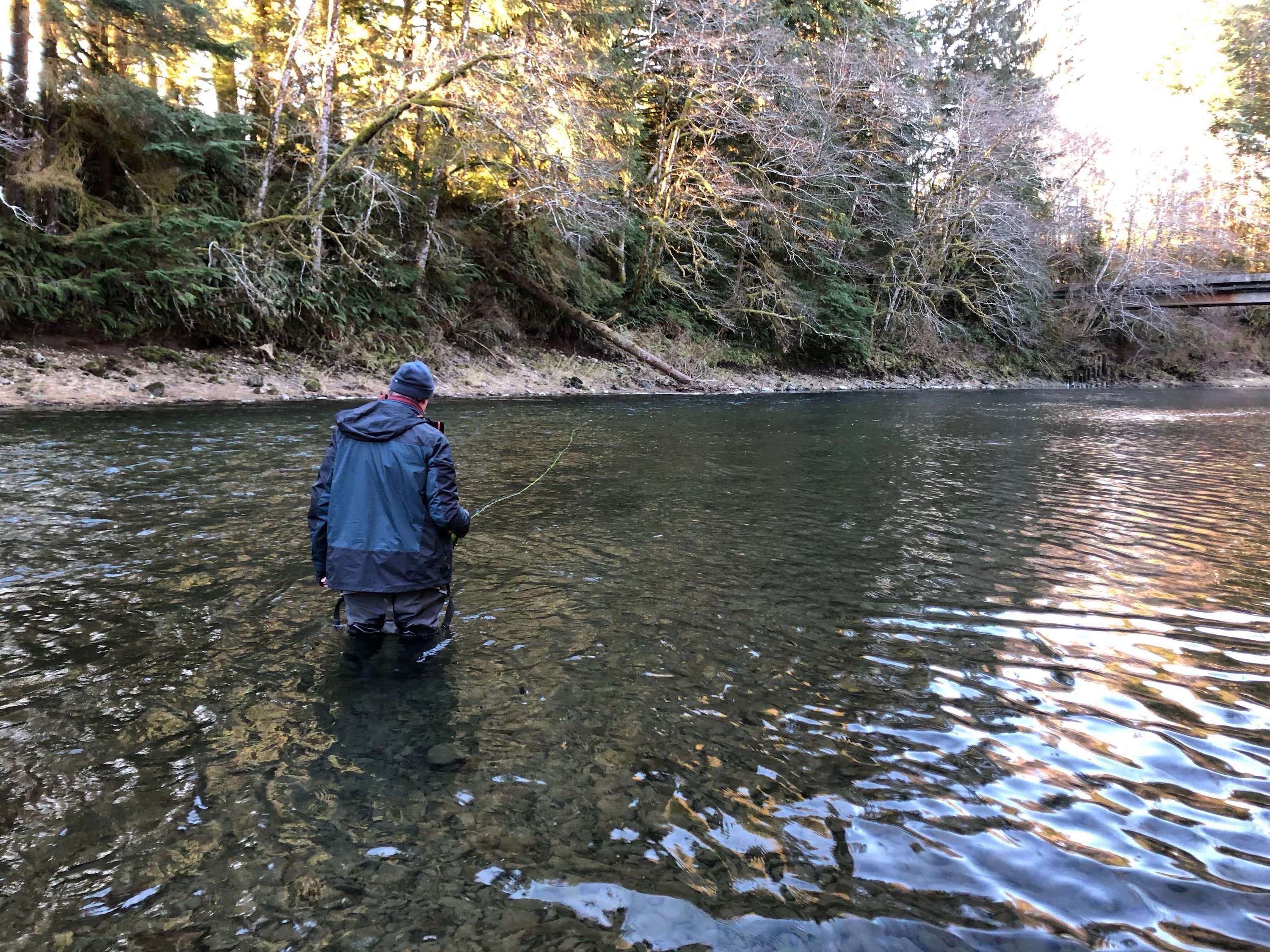 Steelhead Fishing Washington Rivers The Wading List